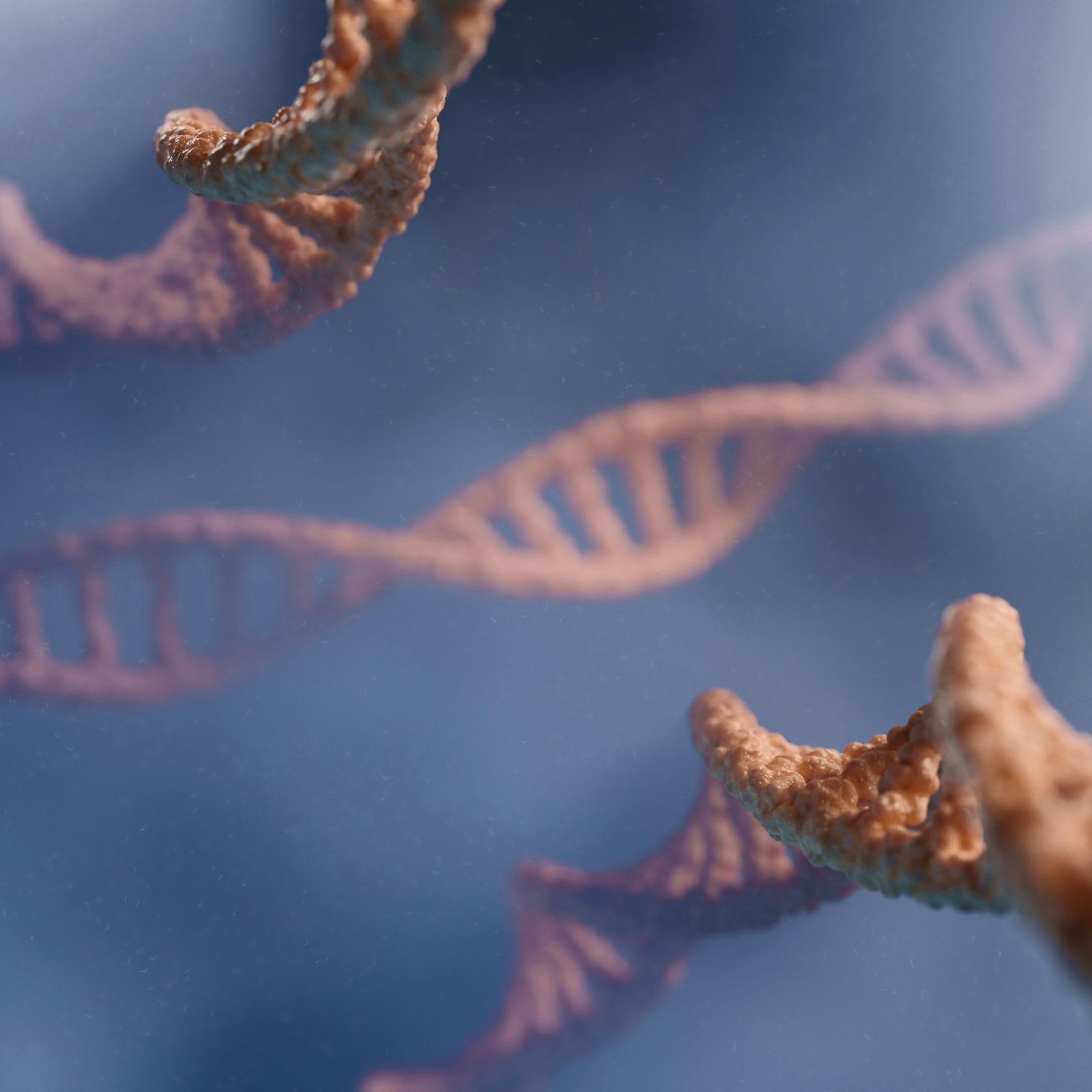 My work obsession is not my fault. It's my genes'.