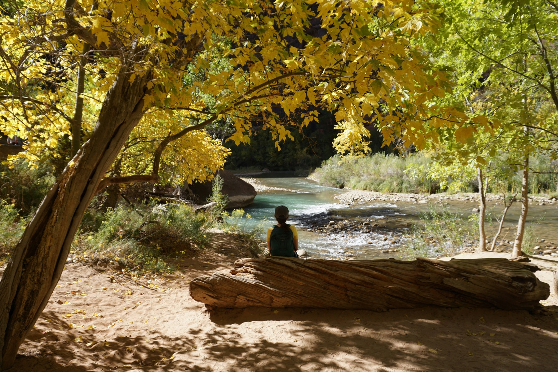 Unlock the power of self-awareness, self-compassion, and a growth mindset