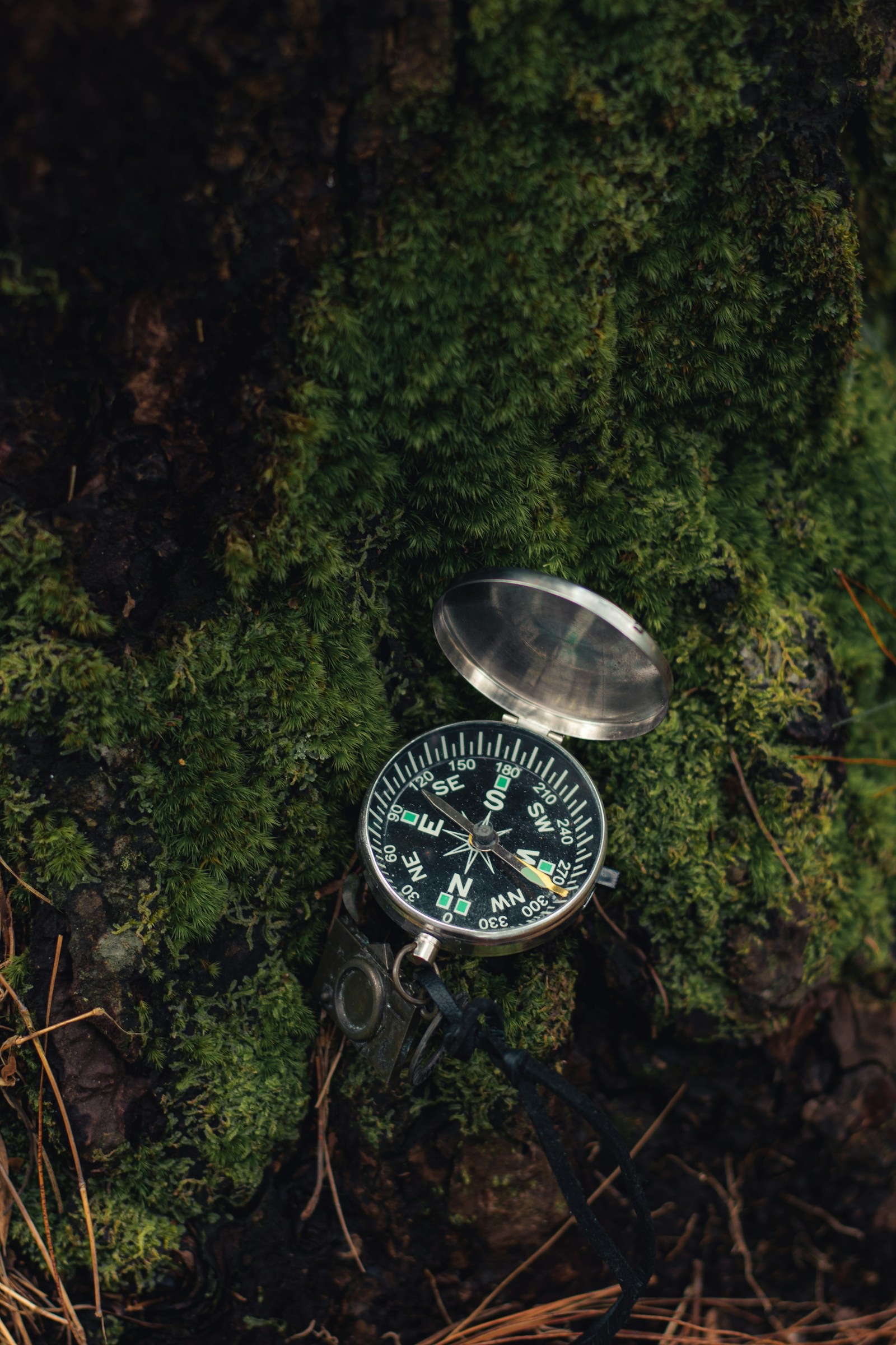 An open compass resting on deep green moss